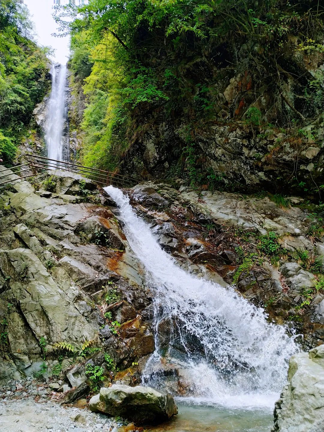DƬ